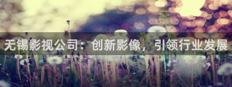 琪琪影院av：无锡影视公司：创新影像，引领行业发展
