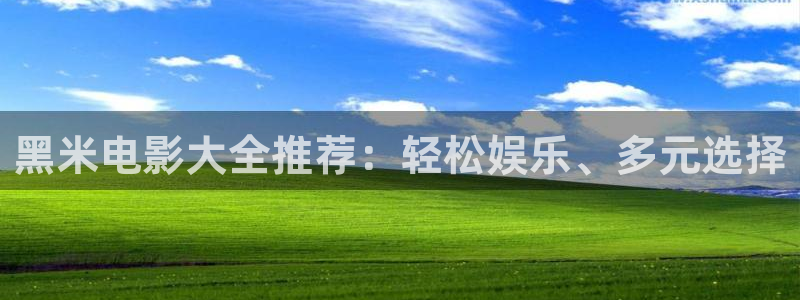 琪琪电影院免费：黑米电影大全推荐：轻松娱乐、多元选择