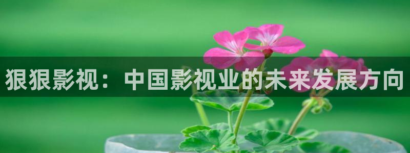 神马琪琪影院在线观看：狠狠影视：中国影视业的未来发展方向